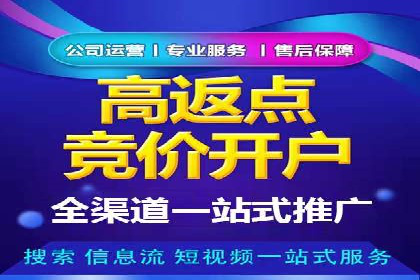 成功案例：百度推广代理助力电商突破